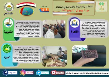 مركز المعلومات الصوتية