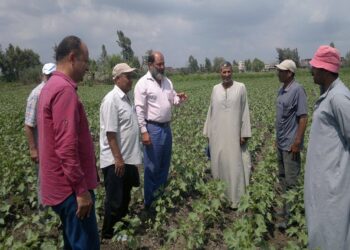 الإرشاد الزراعي