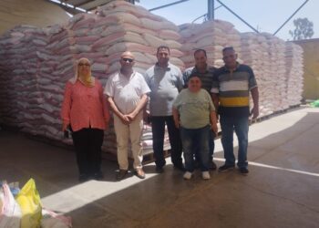 التقاوي المعتمدة