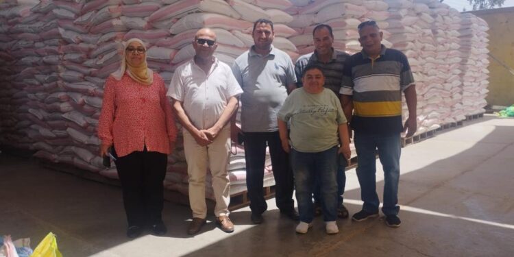 التقاوي المعتمدة