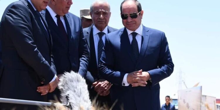 وزير الزراعة: ٣٠ يونيو وضعت الزراعة على أولوية الدولة المصرية 1 الزراعة