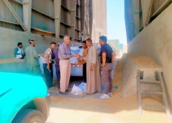 توريد القمح