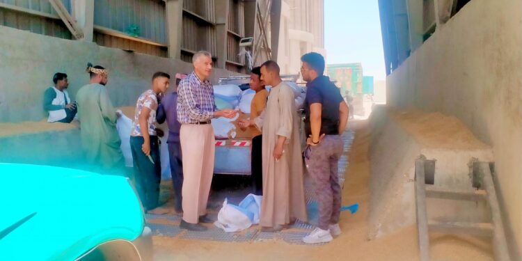 توريد القمح .. "عليوة" يتابع تسليم المحصول في القوصية وأبنوب وساحل سليم 1 توريد القمح