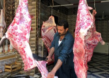 اللحوم البلدية