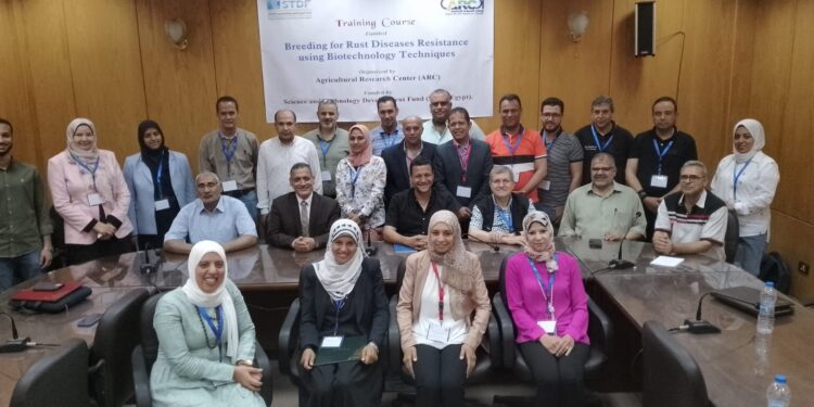 "التربية لمقاومة الأمراض باستخدام التقنيات الحيوية" دورة تدريبية بمعهد بحوث المحاصيل الحقلية 1 المحاصيل الحقلية
