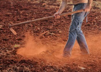 المكافحة الزراعية