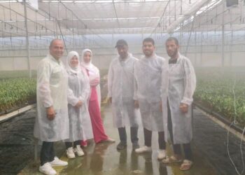 الحجر الزراعي