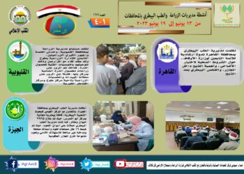 مركز المعلومات الصوتية