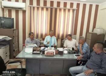 الذرة الشامية