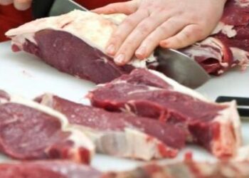 لحوم الأضاحي