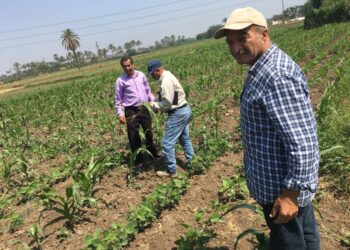 مكافحة الآفات .. الزراعة توضح أنشطة الإدارة المركزية خلال شهر مايو 2023