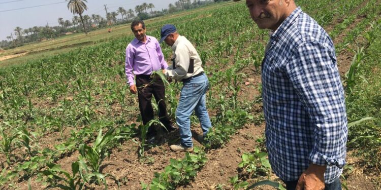 مكافحة الآفات .. الزراعة توضح أنشطة الإدارة المركزية خلال شهر مايو 2023