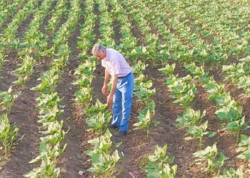 وكيل زراعة أسيوط