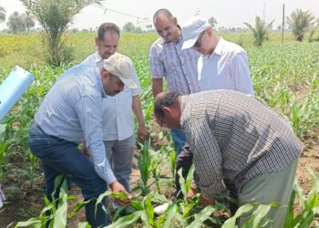 “القصير” يوجه الشكر للقطاعات والإدارات الخدمية والإنتاجية بالوزارة