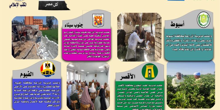 انفوجراف وفيديو| أنشطة وجهود مديريات الزراعة والطب البيطري خلال أسبوع 1 انفوجراف وفيديو| أنشطة وجهود مديريات الزراعة والطب البيطري خلال أسبوع