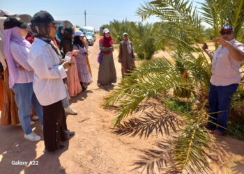 طلبة وطالبات