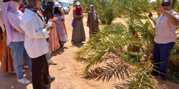 طلبة وطالبات زراعة "الوادي الجديد" في ضيافة "المركزي للنخيل" بالداخلة 1 طلبة وطالبات