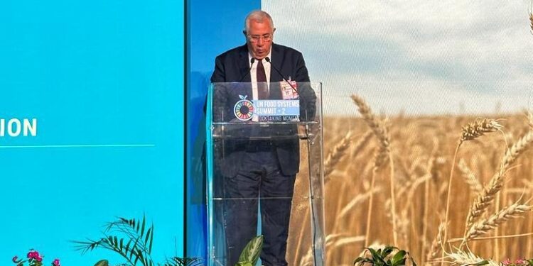 "القصير" يلقي كلمة مصر في مؤتمر "الأمم المتحدة لتقييم نُظم الغذاء 2023" 1 القصير