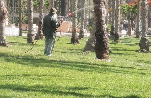 نشاط مكثف لمديرية الزراعة بالإسكندرية للحفاظ على الرقعة الزراعية 1 الإسكندرية