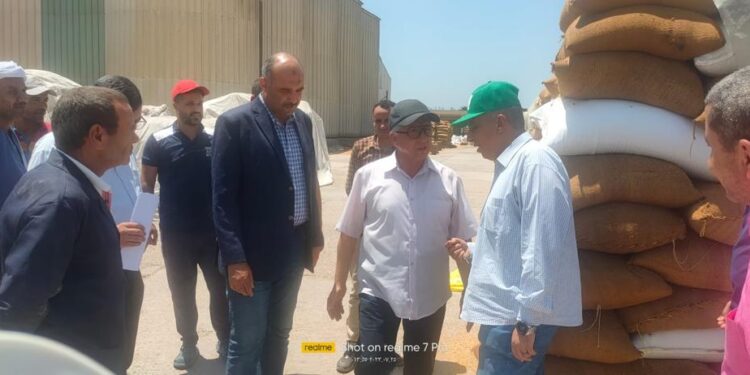 رئيس البحوث الزراعية يتفقد محطات إعداد وغربلة التقاوي في جنوب التحرير والنوبارية 1 البحوث الزراعية