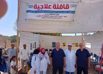 التناسليات الحيوانية