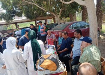 الحمى القلاعية