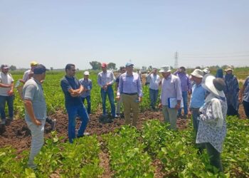 محطة بحوث سخا