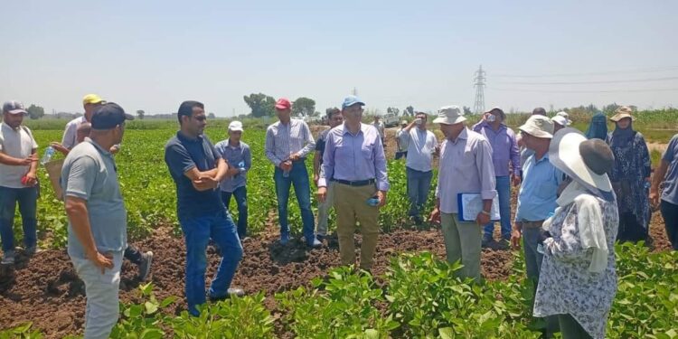 "الجلفي" في محطة بحوث سخا لمتابعة برامج "الموسم الصيفي" 1 محطة بحوث سخا