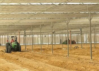 الزراعة الآلية