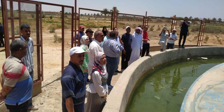 الزراعة: وفد الفاو يتفقد أنشطة مركز بحوث الصحراء بجنوب سيناء 1 الزراعة