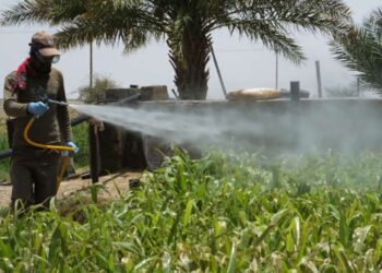 الحد الاقتصادي الحرج