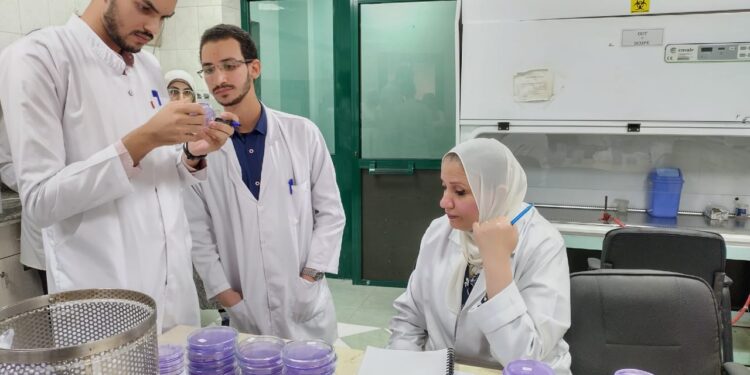 فحص ٩٩٢ ألف طن بطاطس للتصدير منذ بداية العام وحتى نهاية يونيو 1 بطاطس