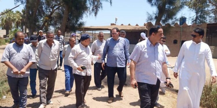 "الزراعة" تتفقد أصولها بمركزي "رشيد وإدكو" بمحافظة البحيرة 1 الزراعة