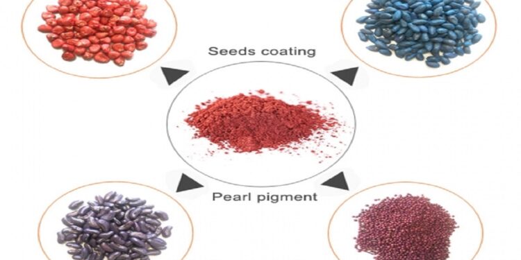 طلاء البذور.. أهدافها وأنواع الصبغات المستخدمة وانعكاساتها على حجم الإنتاجية 1 طلاء البذور