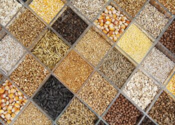 طلاء بذور التقاوي