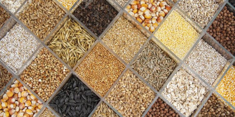 طلاء بذور التقاوي.. خطوات التنفيذ "اليدوية" وأبرز التوصيات الواجب اتباعها 1 طلاء بذور التقاوي