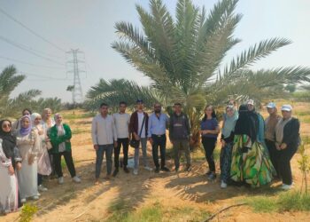 المركزي للنخيل