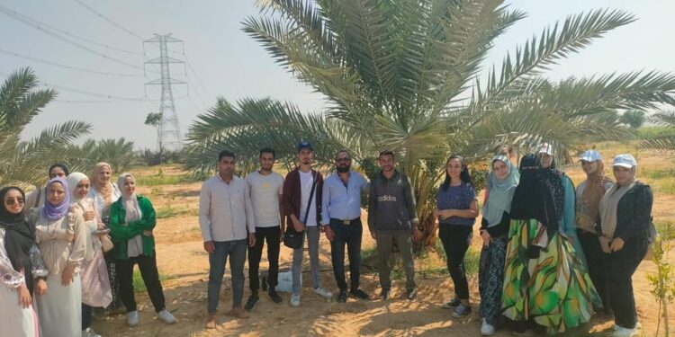المركزي للنخيل ينظم مدرسة حقلية لطلاب زراعة المنيا بفرع المعمل بسيوة 1 المركزي للنخيل