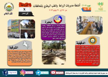انفوجراف وفيديو| تعرف على أنشطة وجهود مديريات الزراعة والطب البيطري في أسبوع