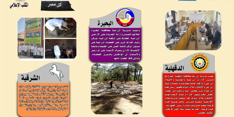انفوجراف وفيديو| تعرف على أنشطة وجهود مديريات الزراعة والطب البيطري في أسبوع 1 انفوجراف وفيديو| تعرف على أنشطة وجهود مديريات الزراعة والطب البيطري في أسبوع