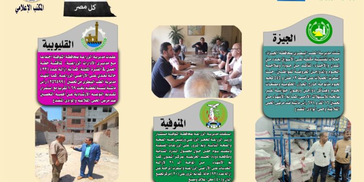 انفوجراف وفيديو| تعرف على أنشطة وجهود مديريات الزراعة والطب البيطري خلال أسبوع 1 انفوجراف وفيديو| تعرف على أنشطة وجهود مديريات الزراعة والطب البيطري خلال أسبوع