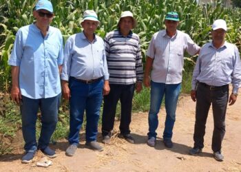 الزراعة تتابع حقول إكثار التقاوى وبرامج الأرز والذرة في البحيرة