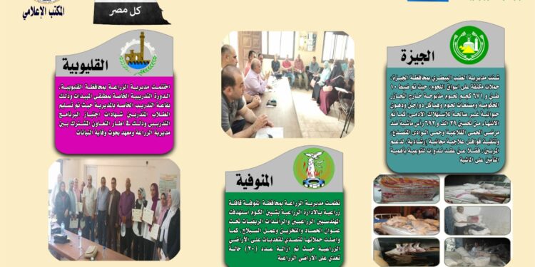 انفوجراف وفيديو| تعرف على أنشطة وجهود مديريات الزراعة والطب البيطري خلال أسبوع 1 انفوجراف وفيديو| تعرف على أنشطة وجهود مديريات الزراعة والطب البيطري خلال أسبوع