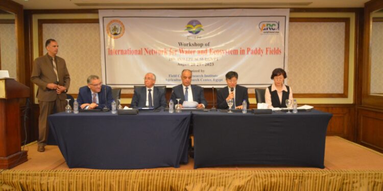 البحوث الزراعية ينظم ورشة عمل للشبكة الدولية للمياه والنظم البيئية بحقول الأرز 1 البحوث الزراعية