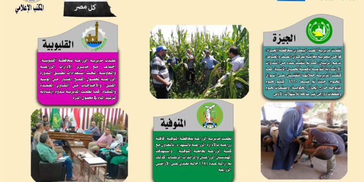 انفوجراف وفيديو| تعرف على أنشطة وجهود مديريات الزراعة والطب البيطري خلال أسبوع 1 انفوجراف وفيديو| تعرف على أنشطة وجهود مديريات الزراعة والطب البيطري خلال أسبوع