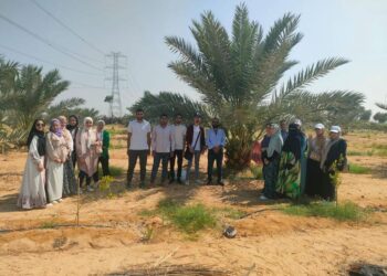 المركزي للنخيل