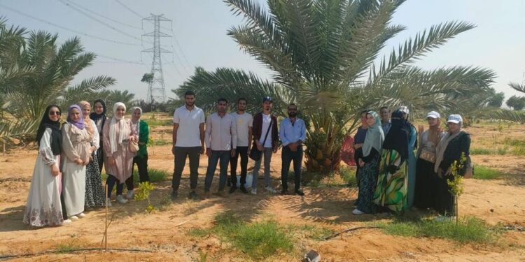"المركزي للنخيل" ينظم ورشة عمل عن تسويق منتجات التمور محليًا ودوليًا 1 المركزي للنخيل