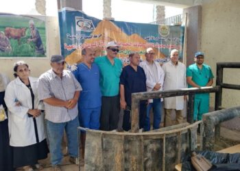 التناسليات الحيوانية