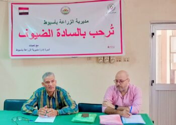 الزراعات الصيفية