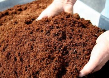 الأسمدة العضوية والحيوية